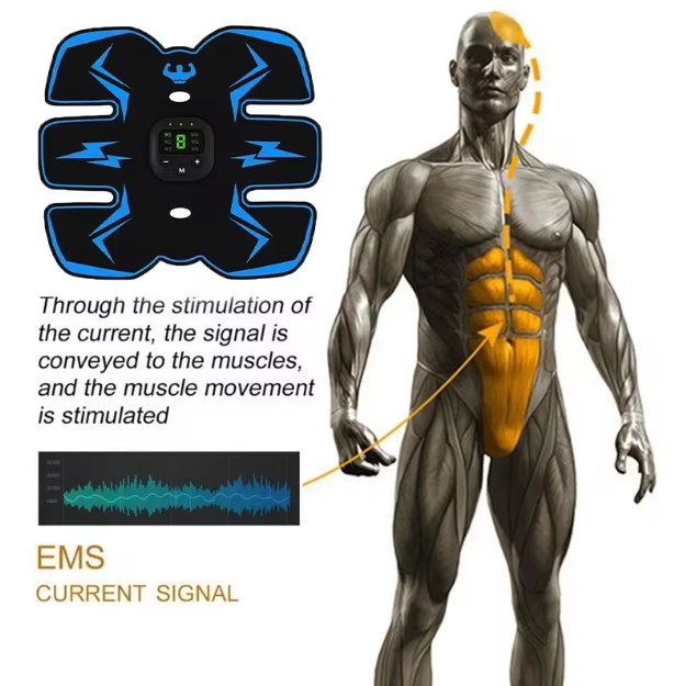 Electric Muscle Stimulator